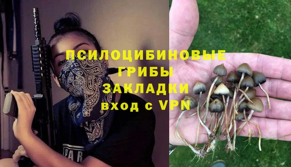 метамфетамин Богданович