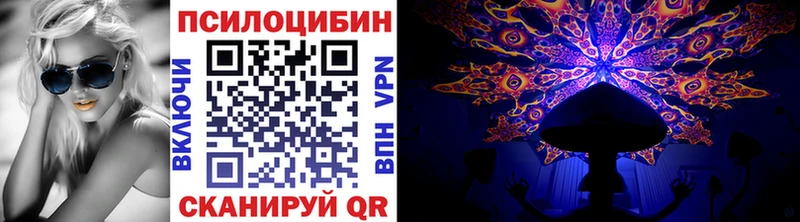 Купить  Котельники  Псилоцибиновые грибы Cubensis 