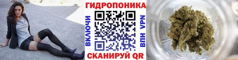 Бошки Шишки сатива  Купить закладки  Котельники 